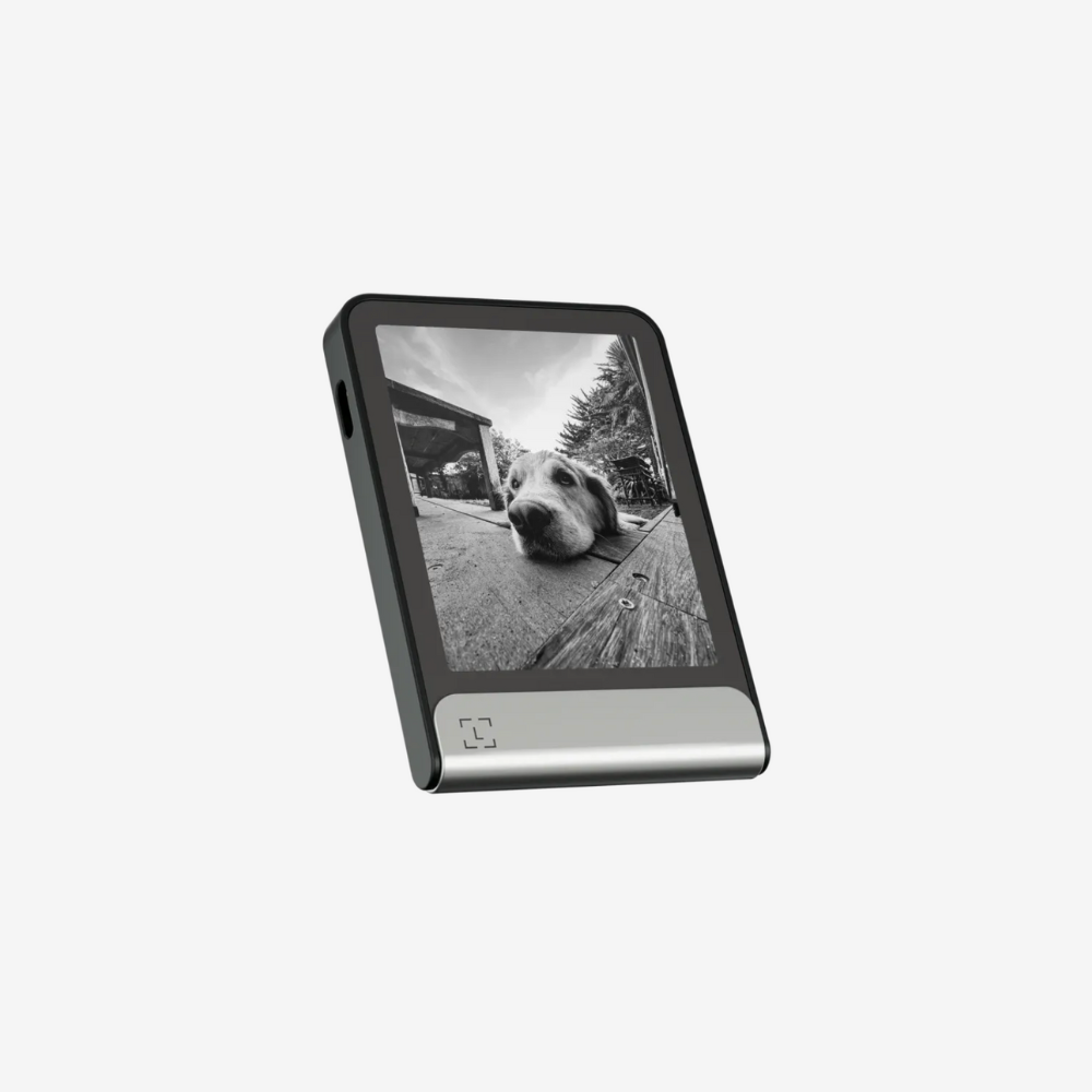 LEDGER FLEX